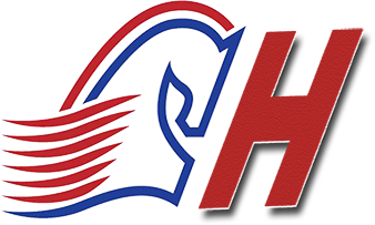 長(zhǎng)沙市飛宏電腦公司企業(yè)LOGO 長(zhǎng)沙市飛宏電腦公司企業(yè)LOGO